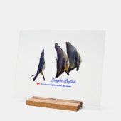 Thee Cute Longfin Batfish Drank Onderscheider Acryl Bord (Hoek)