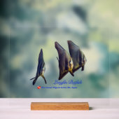 Thee Cute Longfin Batfish Drank Onderscheider Acryl Bord (Neutraal)