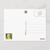 thee en sigaretten in de bosbouw briefkaart (Achterkant)