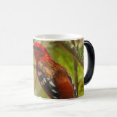 Thee Mok-gepersonaliseerde mok, aangepaste naam Cu Magische Mok (Voorkant rechts)