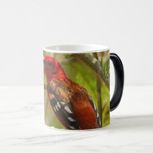 Thee Mok-gepersonaliseerde mok, aangepaste naam Cu Magische Mok (Voorkant rechts)