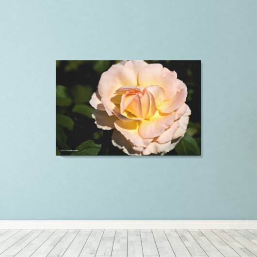 Thee Roos Canvas Afdruk (Insitu (Houten vloer))