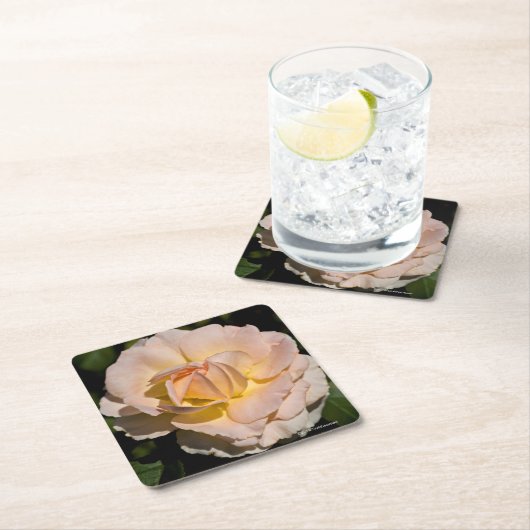 Thee Roos Kartonnen Onderzetters (Insitu)