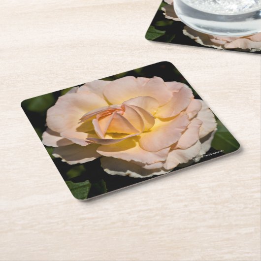 Thee Roos Kartonnen Onderzetters (Schuin)