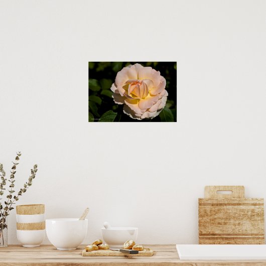 Thee Roos Poster (Keuken)