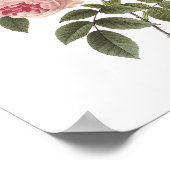 thee-roos (Rosa indica) van Redouté Poster (Hoek)