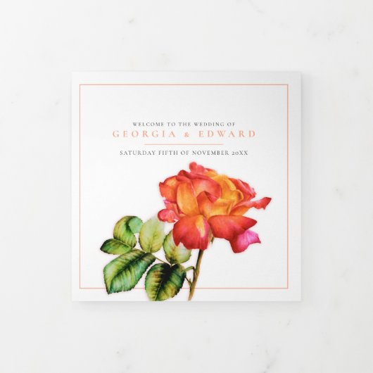 Thee roos sinaasappel gestreepte bloem waterverf b drieluik programma (Cover)