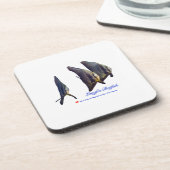 Thee Schattigee Longfin Batfish Bier Onderzetter (Linkerzijde)