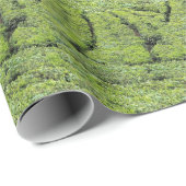 Thee tuinen van Munnar op Cadeaupapier (Rol Hoek)