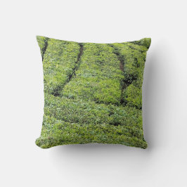 Thee tuinen van Munnar op Kussen