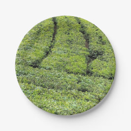 Thee tuinen van Munnar op Papieren Bordje