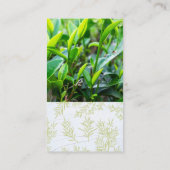 Theebladvelden | Theepot Visitekaartje (Achterkant)