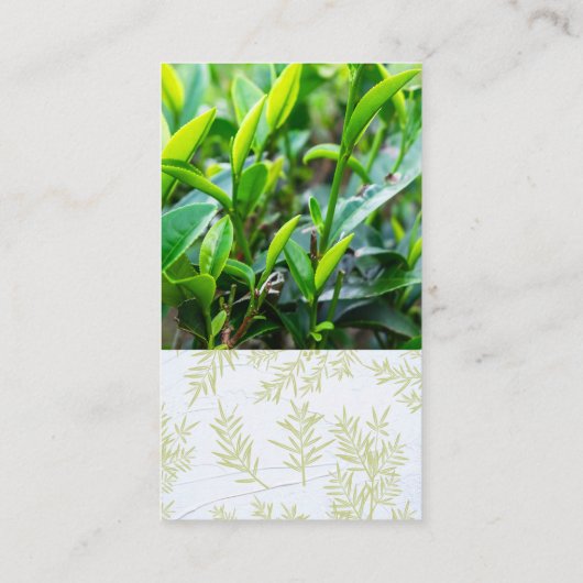 Theebladvelden | Theepot Visitekaartje (Achterkant)