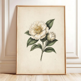 Theebloem Vintage Botanische Print Kunst