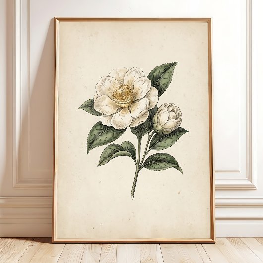 Theebloem Vintage Botanische Print Kunst