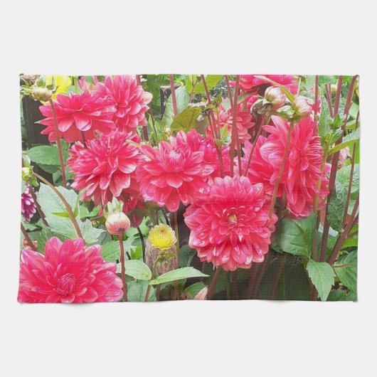 Theedoek met dieproze Dahlias (Horizontaal)
