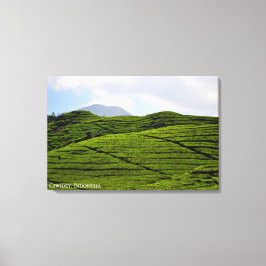 Theefabriek Landschapsfotografie Indonesië Canvas Afdruk