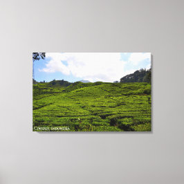 Theefabriek Landschapsfotografie Indonesië Canvas Afdruk
