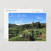 theeheuvels briefkaart (Voorkant / Achterkant)