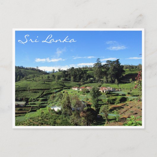 theeheuvels briefkaart (Voorkant)