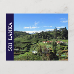 theeheuvels sri lanka briefkaart