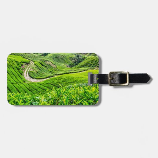 Theeplantage Cameron Highlands Bagagelabel (Voorkant horizontaal)