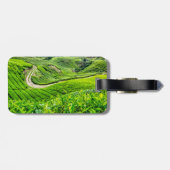 Theeplantage Cameron Highlands Bagagelabel (Achterkant horizontaal)