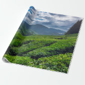 Theeplantage Cameron Highlands Cadeaupapier (Uitgerold)