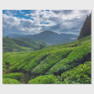 Theeplantage Cameron Highlands Cadeaupapier