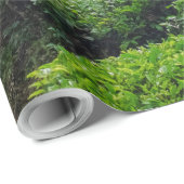 Theeplantage Cameron Highlands Cadeaupapier (Rol Hoek)