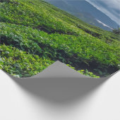 Theeplantage Cameron Highlands Cadeaupapier (Hoek)