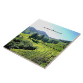 theeplantage in maleisië tegeltje (Zijkant)