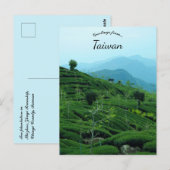 Theeplantage in Taiwan Briefkaart (Voorkant / Achterkant)