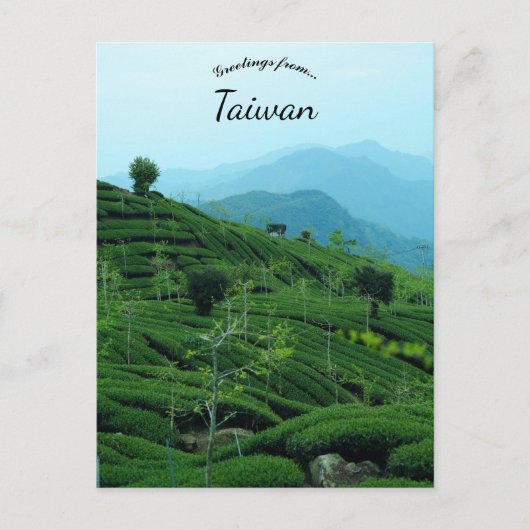 Theeplantage in Taiwan Briefkaart (Voorkant)