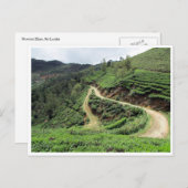 theeplantails briefkaart (Voorkant / Achterkant)