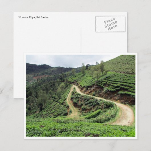 theeplantails briefkaart (Voorkant / Achterkant)