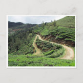 theeplantails briefkaart (Voorkant)