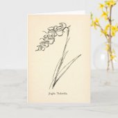 Theepot bloem  illustratie onzin botanie kaart (Gele Bloem)