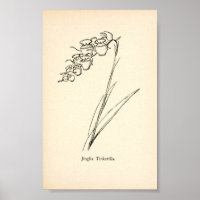 Theepot bloem plant illustratie onzin