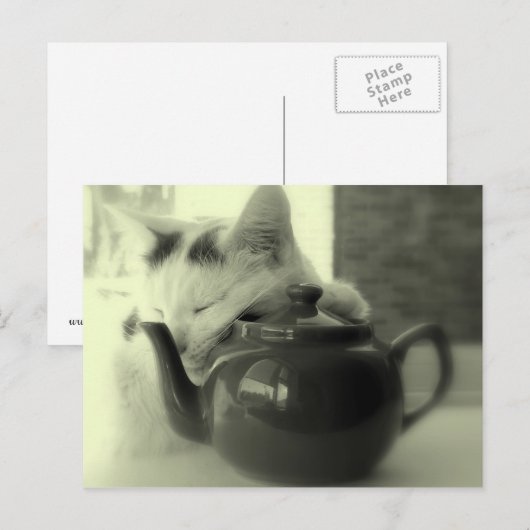 Theepot kussen briefkaart (Voorkant / Achterkant)