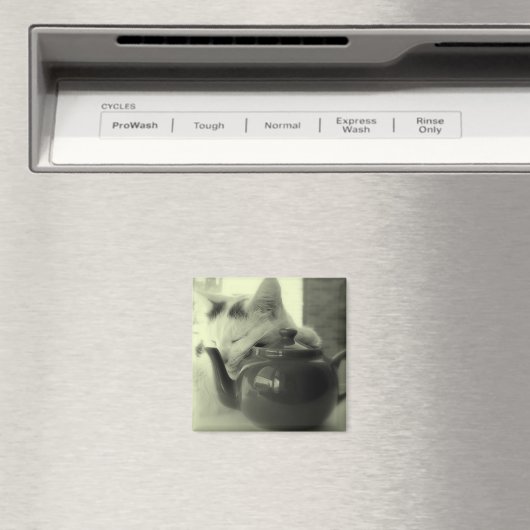 Theepot kussen magneet (Insitu (Vaatwasser))