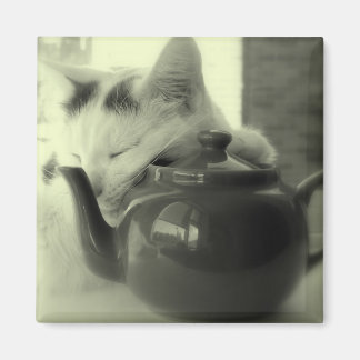 Theepot kussen magneet