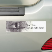  theerlade bumpersticker (Op auto)
