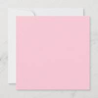 Theeroos Roze Effen Kleur