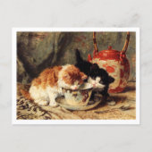 Theetijd Kittens Henriëtte Ronner-Knip Briefkaart (Voorkant)