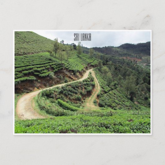 theetrails sri lanka briefkaart (Voorkant)