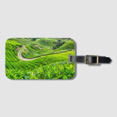 Theetuin Cameron Highlands Bagagelabel (Voorkant (horizontaal))