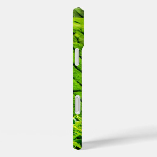 Theetuin Cameron Highlands Case-Mate iPhone Case (Achterkant / Rechts)