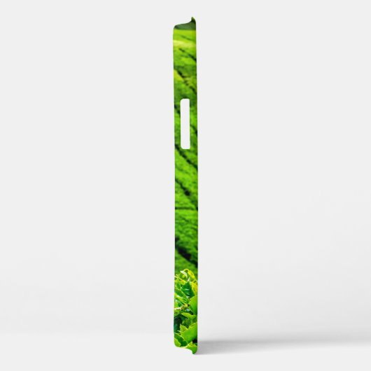 Theetuin Cameron Highlands Case-Mate iPhone Case (Achterkant / Rechts)