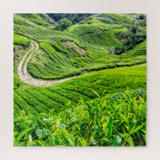 Theetuin Cameron Highlands Legpuzzel